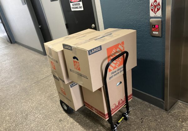 Local and Household Moves